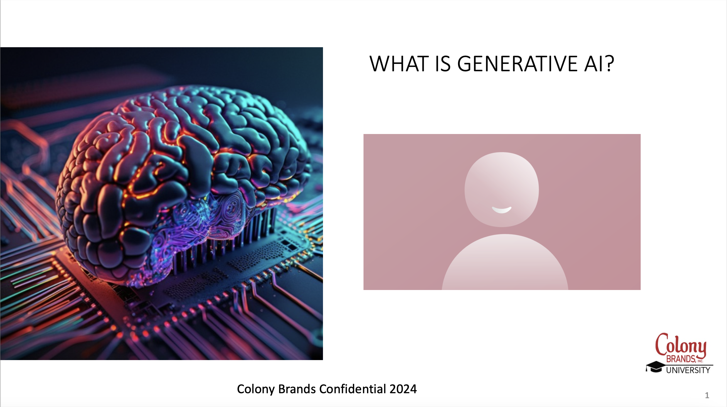 4. Colony Brands Presentation Slides thumbnail